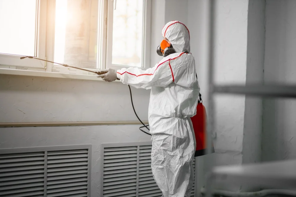 Professional mold remediation services in Midlothian, TX